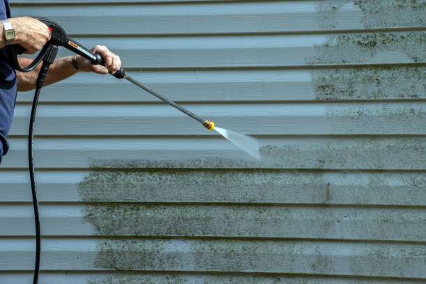 Best Roof Pressure Washing  in Petaluma, CA