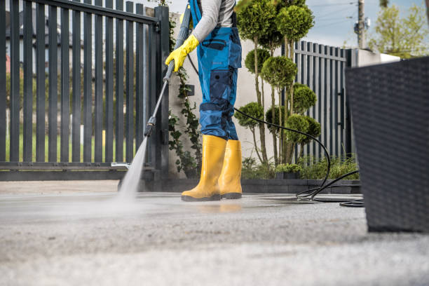 Best Pressure Washing Cost  in Petaluma, CA