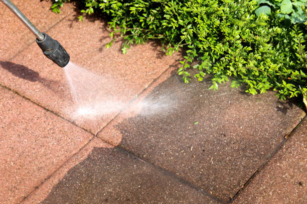 Best Affordable Pressure Washing  in Petaluma, CA